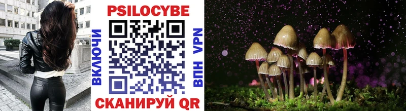 Галлюциногенные грибы Cubensis  где купить наркотик  Олонец 