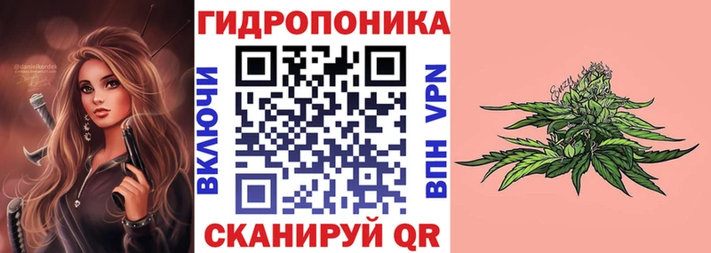 цены   Олонец  МЕГА онион  Шишки марихуана SATIVA & INDICA 